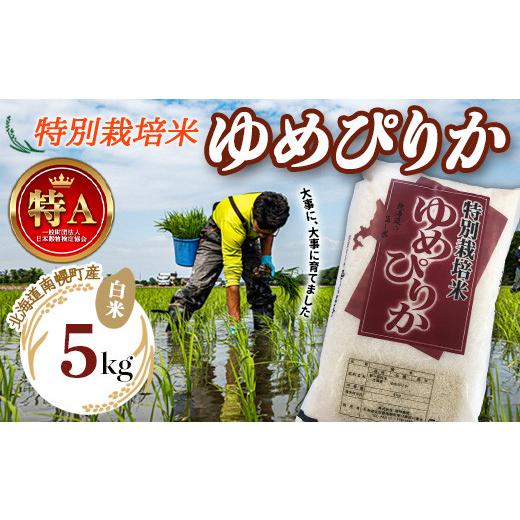 ふるさと納税 米 ゆめぴりか 北海道 南幌町 北海道産 特別栽培米 ゆめぴりか 白米 5kg 令和7年産 今摺り米 南幌町 NP1-242