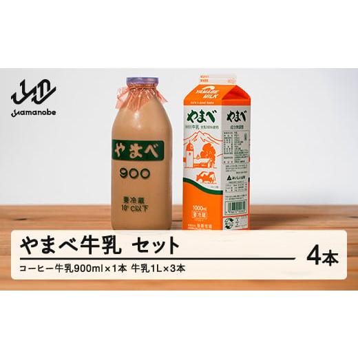 ふるさと納税 飲料類 牛乳 山形県 山辺町 山形県産 やまべ牛乳セット (牛乳 1L×3・コーヒー牛乳 900ml×1) F20A-222