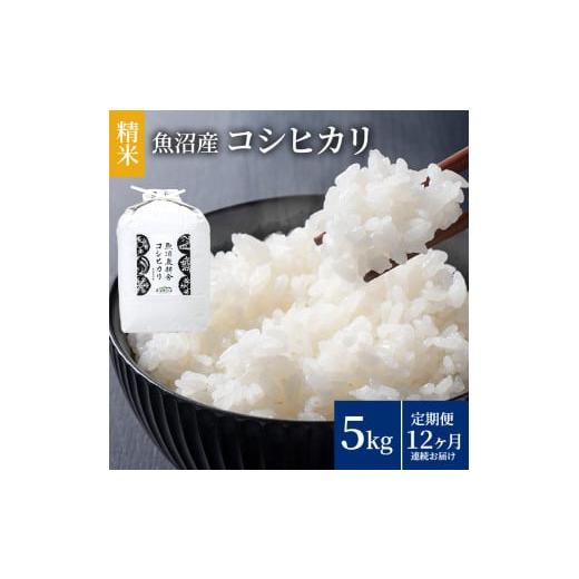 ふるさと納税 米 コシヒカリ 新潟県 魚沼市   米農家自慢の魚沼産コシヒカリ(精米)5kg×1袋 12ヶ月連続お届け ( 米 お米 こめ コメ おこめ 白米 …