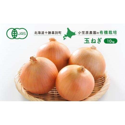 ふるさと納税 野菜類 玉ねぎ 北海道 幕別町 小笠原農園の有機玉ねぎ10kg 北海道十勝幕別 《2026年秋出荷先行予約》 野菜 玉ねぎ たまねぎ パワーウルフ 北海道…の画像