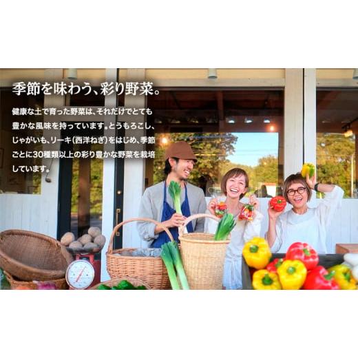 ふるさと納税 野菜類 玉ねぎ 北海道 幕別町 小笠原農園の有機玉ねぎ10kg 北海道十勝幕別 《2026年秋出荷先行予約》 野菜 玉ねぎ たまねぎ パワーウルフ 北海道…の画像