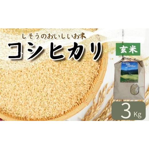 ふるさと納税 米 コシヒカリ 兵庫県 宍粟市 K9 令和7年産 しそうの おいしい お米 コシヒカリ 玄米 3Kg こしひかり 玄米 兵庫県産 宍粟市産 3Kg 少量