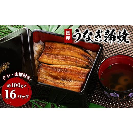 ふるさと納税 うなぎ 静岡県 磐田市 中遠加工場のうなぎ蒲焼　16食セット_ 鰻 うなぎ 国産 蒲焼 養殖 人気 おすすめ 送料無料 贈答 ギフト 冷凍 静岡県 セット…_1