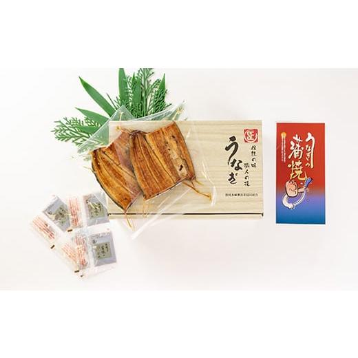 ふるさと納税 うなぎ 静岡県 磐田市 中遠加工場のうなぎ蒲焼　16食セット_ 鰻 うなぎ 国産 蒲焼 養殖 人気 おすすめ 送料無料 贈答 ギフト 冷凍 静岡県 セット…_2