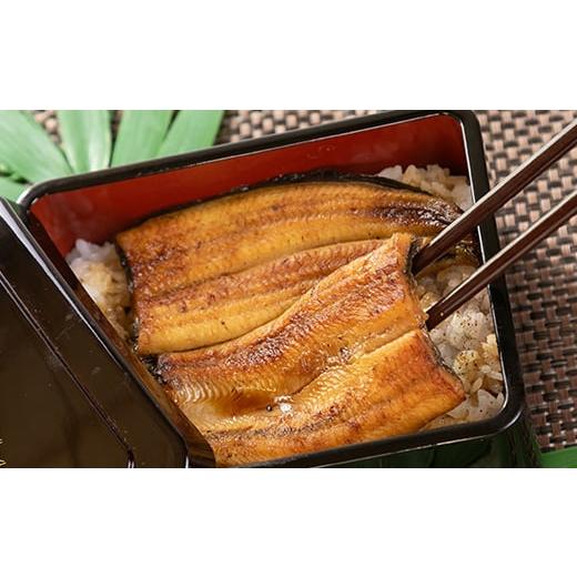 ふるさと納税 うなぎ 静岡県 磐田市 中遠加工場のうなぎ蒲焼　16食セット_ 鰻 うなぎ 国産 蒲焼 養殖 人気 おすすめ 送料無料 贈答 ギフト 冷凍 静岡県 セット…_3