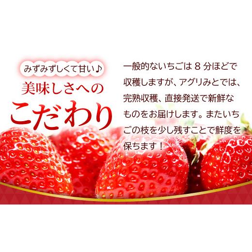 ふるさと納税 島根県 益田市 【農家直送！】完熟いちご（350g×3パック）・いちごジャムセット（150g）【先行予約 果物 フルーツ 苺 いちご イチゴ 紅ほっぺ …｜furusatochoice｜07