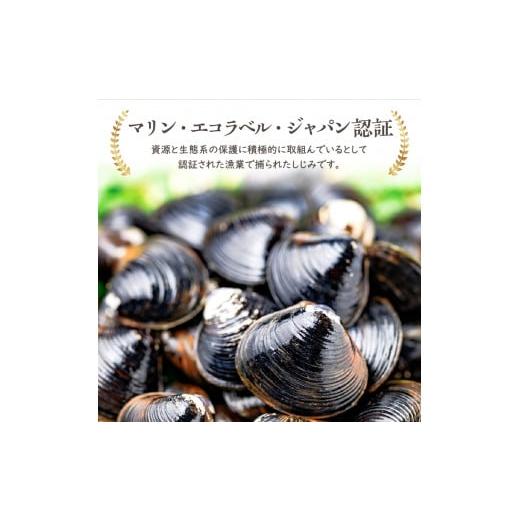 ふるさと納税 青森県 五所川原市 十三湖産 大和しじみ（中貝）2kg（冷凍・砂抜き済）｜furusatochoice｜05