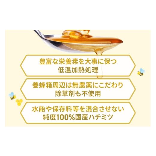 ふるさと納税 加工品等 はちみつ 群馬県 沼田市 奥利根坂井のアカシアはちみつ 2400g×1本 坂井養蜂場 蜂蜜 はちみつ ハチミツ 国産 アカシア アカシヤの画像