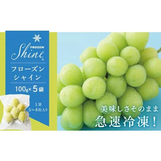 ふるさと納税 ぶどう マスカット 山梨県 笛吹市 フローズン シャインマスカット 100g×5袋 小分け フローズンシャインマスカット フローズンシャイン 098-0…