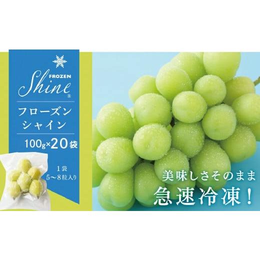 ふるさと納税 ぶどう マスカット 山梨県 笛吹市 フローズン シャインマスカット 100g×20袋 小分け 冷凍発送 098-012