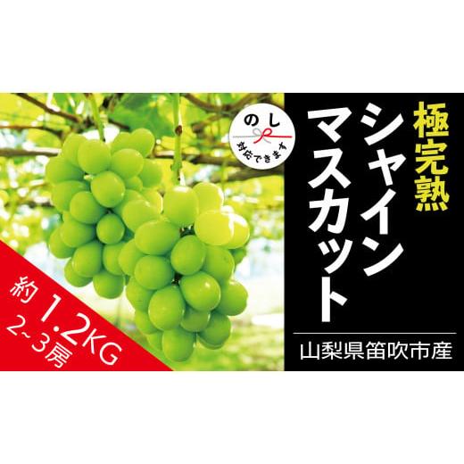 ふるさと納税 山梨県 笛吹市 [2024年先行予約]☆絶品☆ シャインマスカット 2-3房約1.2kg 090-004 |シャインマスカット 先行予約 丸章青果 笛吹市 山梨県 …