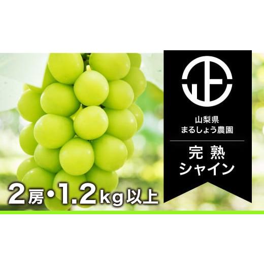 ふるさと納税 山梨県 笛吹市 [2024年先行予約][完熟] シャインマスカット 2房 1.2kg以上 098-005 | シャインマスカット 先行予約 まるしょう農園 笛吹市 …