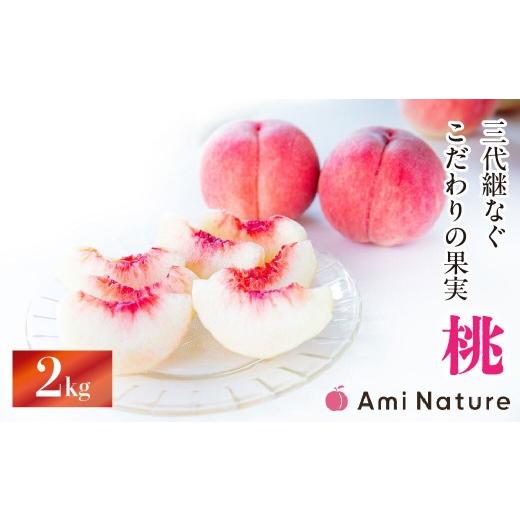 ふるさと納税 もも 山梨県 笛吹市 2026年発送 先行予約 やまなし旬の果実 笛吹の朝採り桃 2.0kg 065-018-26y| もも 桃 発送 アミナチュール 山梨 笛吹市 一…