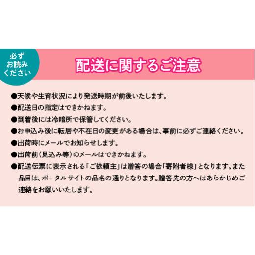 ふるさと納税 もも 山梨県 笛吹市 JAふえふき露地桃4-5玉（約2kg） 010-011-26yの画像