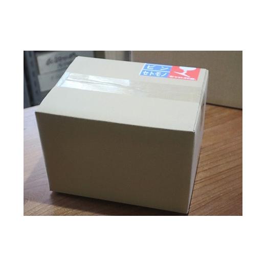 ふるさと納税 陶磁器・漆器・ガラス 新潟県 柏崎市 木の葉モチーフのティーポット・カップセット ZC380の画像