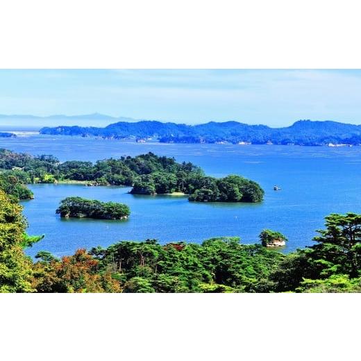 ふるさと納税 米 ひとめぼれ 宮城県 松島町  令和7年度産 松島産ひとめぼれ5kg×6袋 ／ 新米 ひとめぼれ 30kg 5kg×6袋 精米 玄米 食味 炊き立て ごはん 甘み …の画像