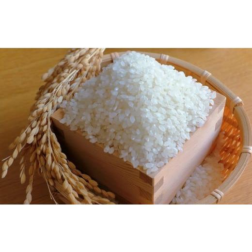 ふるさと納税 米 ひとめぼれ 宮城県 松島町  令和7年度産 松島産ひとめぼれ5kg×6袋 ／ 新米 ひとめぼれ 30kg 5kg×6袋 精米 玄米 食味 炊き立て ごはん 甘み …の画像