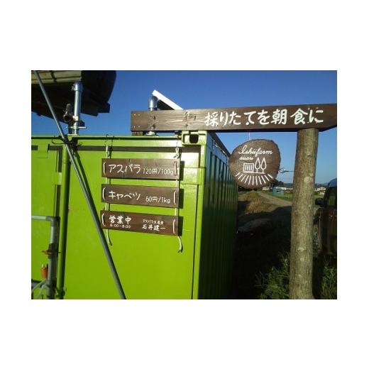 ふるさと納税 野菜類 アスパラガス 岩手県 北上市 5月GW明けごろ〜発送予定 　春 採りたて アスパラガス　約1.8kg アスパラ 野菜 季節の野菜 石井建一 岩手県…