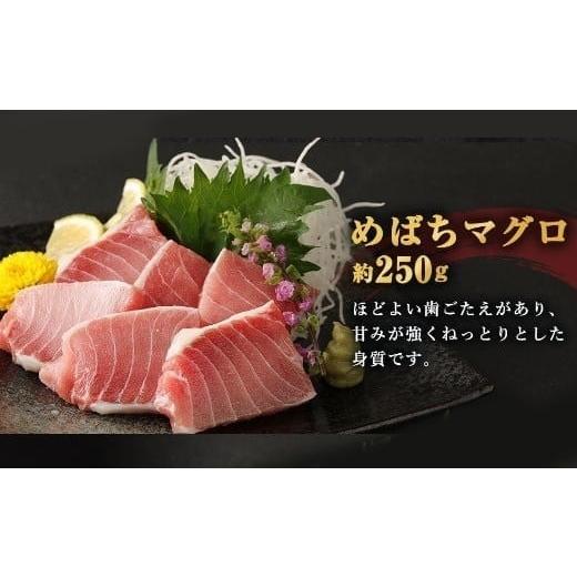 ふるさと納税 マグロ 高知県 室戸市  定期便 5回 厳選 天然マグロ 2種 セット 650g ( めばちマグロ 250g・ びんちょうまぐろ 400g) 2種類 ふるさと納税 限定 …の画像