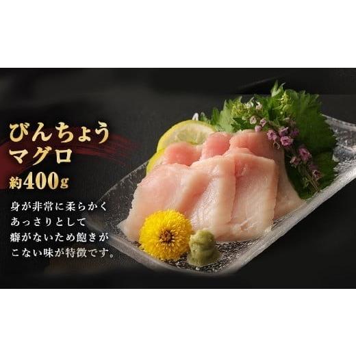 ふるさと納税 マグロ 高知県 室戸市  定期便 5回 厳選 天然マグロ 2種 セット 650g ( めばちマグロ 250g・ びんちょうまぐろ 400g) 2種類 ふるさと納税 限定 …の画像