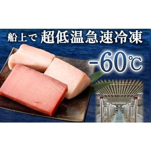 ふるさと納税 マグロ 高知県 室戸市  定期便 5回 厳選 天然マグロ 2種 セット 650g ( めばちマグロ 250g・ びんちょうまぐろ 400g) 2種類 ふるさと納税 限定 …の画像