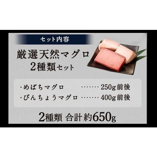 ふるさと納税 マグロ 高知県 室戸市  定期便 5回 厳選 天然マグロ 2種 セット 650g ( めばちマグロ 250g・ びんちょうまぐろ 400g) 2種類 ふるさと納税 限定 …の画像