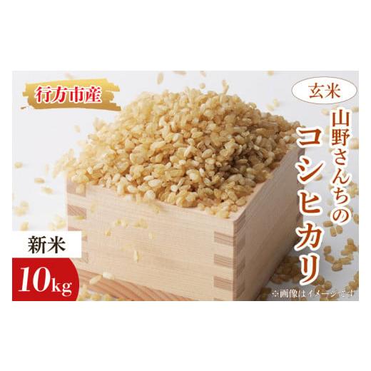 ふるさと納税 米 コシヒカリ 茨城県 行方市 令和7年度産 山野さんちのコシヒカリ 10kg(玄米)|米 お米 こめ こしひかり コシヒカリ 令和7年産 R7年産 新米 玄…
