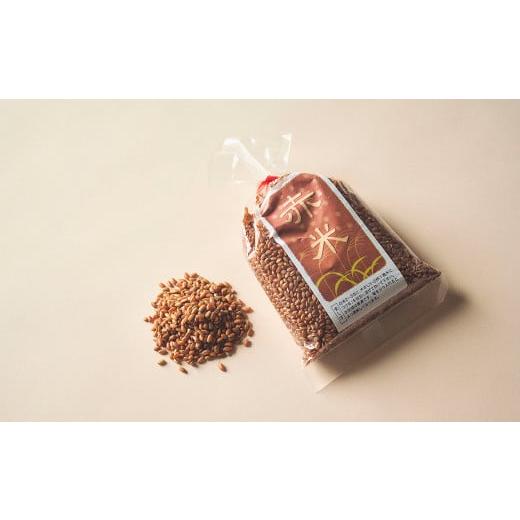 ふるさと納税 米 奈良県 明日香村 古代米ミニ・トライアル(赤米200g袋入) 明日香の古代米(赤米200g袋入)