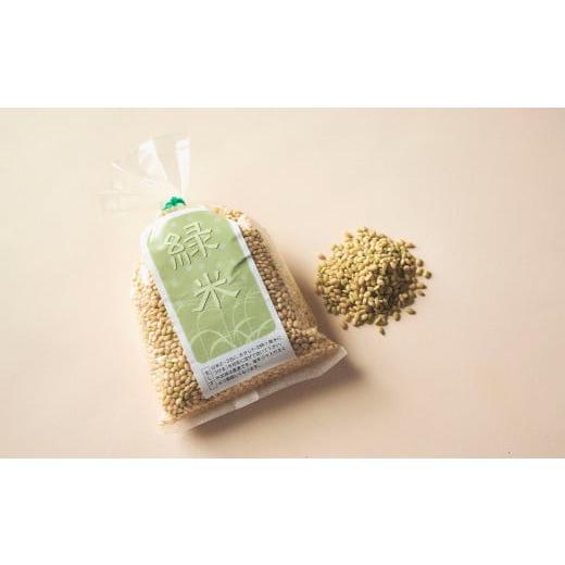 ふるさと納税 米 奈良県 明日香村 古代米ミニ・トライアル(緑米200g袋入) 明日香の古代米(緑米200g袋入)