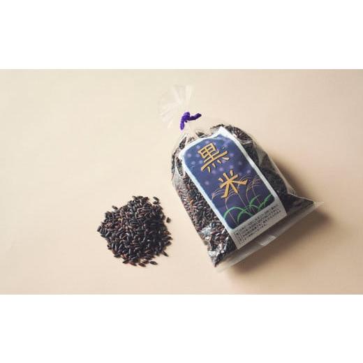 ふるさと納税 米 奈良県 明日香村 古代米ミニ・トライアル(黒米200g袋入) 明日香の古代米(黒米200g袋入)