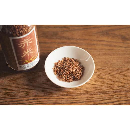 ふるさと納税 米 奈良県 明日香村 古代米トライアル(赤米450g・ボトル入) 明日香の古代米(赤米450g・ペットボトル入)