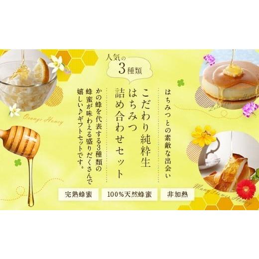 ふるさと納税 加工品等 はちみつ 福岡県 八女市  ギフト用 かの蜂 国産 蜂蜜 ギフト 500g×3本セット（レンゲ 百花 みかん）の画像