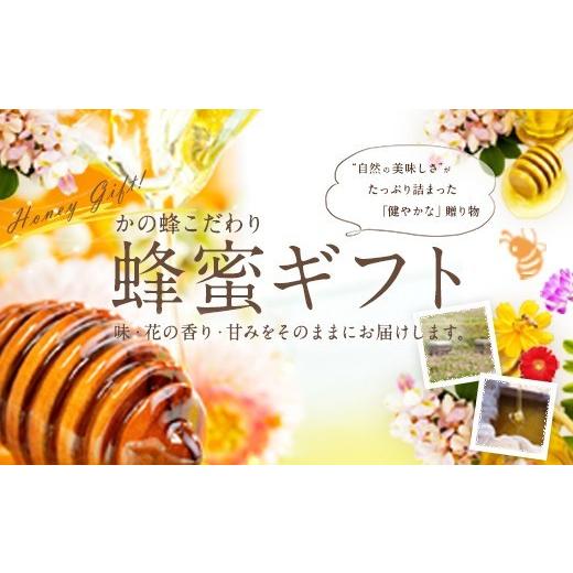 ふるさと納税 加工品等 はちみつ 福岡県 八女市  ギフト用 かの蜂 国産 蜂蜜 ギフト 500g×3本セット（レンゲ 百花 みかん）の画像