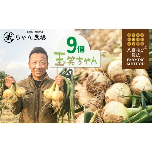 ふるさと納税 野菜類 玉ねぎ 愛知県 碧南市  2026年発送 笑顔で笑顔を作る武ちゃん農場の新玉ねぎ“玉笑ちゃん” 9個 H095-029の画像