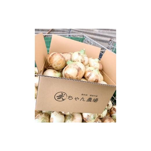 ふるさと納税 野菜類 玉ねぎ 愛知県 碧南市  2026年発送 笑顔で笑顔を作る武ちゃん農場の新玉ねぎ“玉笑ちゃん” 9個 H095-029の画像