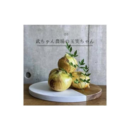 ふるさと納税 野菜類 玉ねぎ 愛知県 碧南市  2026年発送 笑顔で笑顔を作る武ちゃん農場の新玉ねぎ“玉笑ちゃん” 9個 H095-029の画像