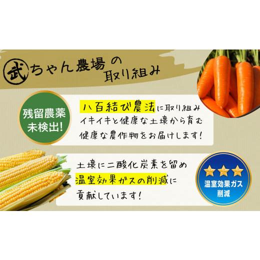 ふるさと納税 野菜類 玉ねぎ 愛知県 碧南市  2026年発送 笑顔で笑顔を作る武ちゃん農場の新玉ねぎ“玉笑ちゃん” 9個 H095-029の画像