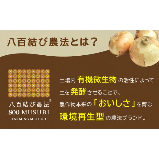 ふるさと納税 野菜類 玉ねぎ 愛知県 碧南市  2026年発送 笑顔で笑顔を作る武ちゃん農場の新玉ねぎ“玉笑ちゃん” 9個 H095-029の画像