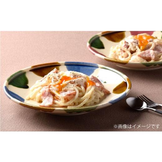 ふるさと納税 食器・グラス 皿 長崎県 波佐見町  波佐見焼 民芸彩り プレート ペア カレー皿 パスタ皿 食器 利左エ門窯 QB27の画像