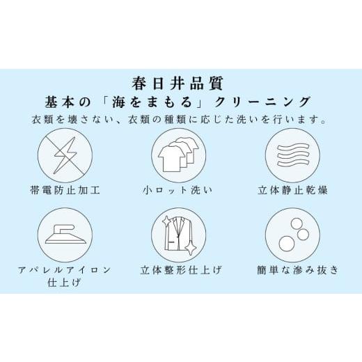 ふるさと納税 ファッション 愛知県 春日井市 宅配クリーニング　春日井品質（20点コース）の画像
