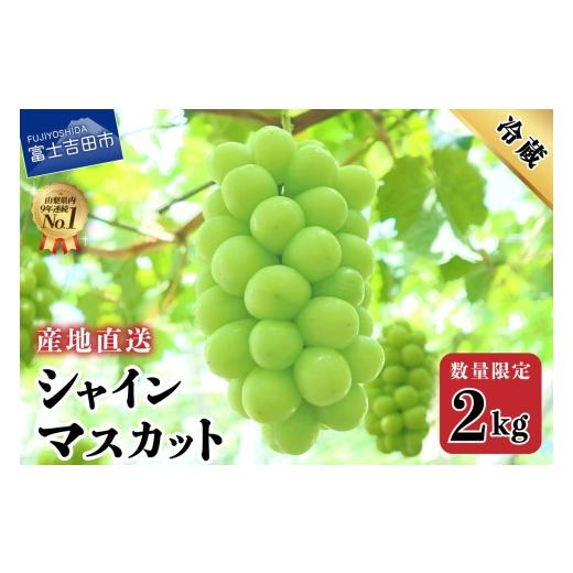 ふるさと納税 ぶどう マスカット 山梨県 富士吉田市 2026年発送 数量限定 期間限定 産地直送 高級シャインマスカット2kg以上(3〜4房) フルーツ 山梨県産 シ…