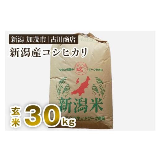 ふるさと納税 玄米 新潟県 加茂市 令和7年産新米 新潟県加茂市産コシヒカリ 玄米30kg [順次発送] 一等米 お米の専門店 古川商店