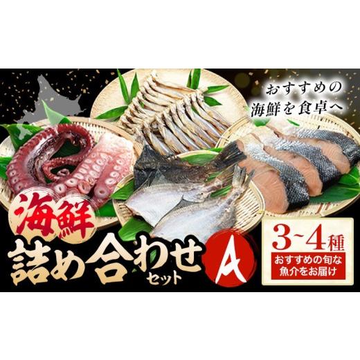 ふるさと納税 旬の鮮魚等 北海道 日高町 海鮮 海鮮詰め合わせ セット A おまかせ 3〜4種 下処理済み 石崎水産[30日以内に出荷予定(土日祝除く)]北海道 日高…
