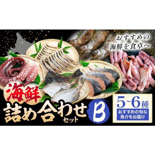 ふるさと納税 旬の鮮魚等 北海道 日高町 海鮮 海鮮詰め合わせ セット B おまかせ 5〜6種 下処理済み 石崎水産[30日以内に出荷予定(土日祝除く)]北海道 日高…