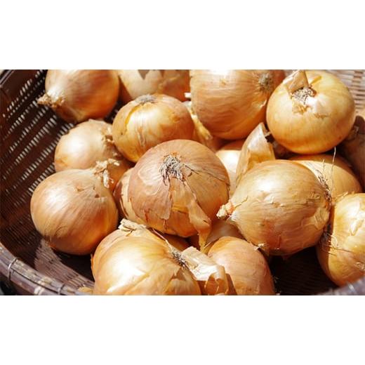 ふるさと納税 野菜類 玉ねぎ 北海道 日高町 北海道 日高産 玉ねぎ 約18kg 国産 北海道産 野菜 産地直送 お取り寄せ