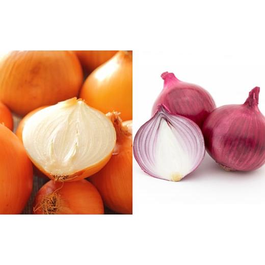 ふるさと納税 野菜類 玉ねぎ 北海道 日高町 北海道 日高産 玉ねぎ2種 玉ねぎ約13kg 紫玉ねぎ約5kg 国産 北海道産 野菜 産地直送 お取り寄せ