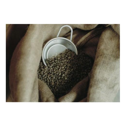 ふるさと納税 コーヒー コーヒー豆 岐阜県 大垣市 豆 『TASTORY COFFEE AND ROASTER』世界のスペシャルティコーヒー コーヒー豆 4種詰め合わせ(100g×4種類…