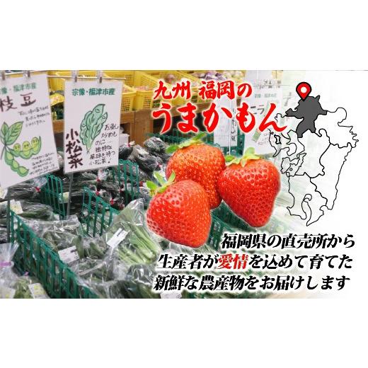 ふるさと納税 セット・詰合せ 福岡県 福津市 JAむなかた農産物直売所よりお届け 福津・むなかた旬の野菜と果物 計8品 H2275の画像