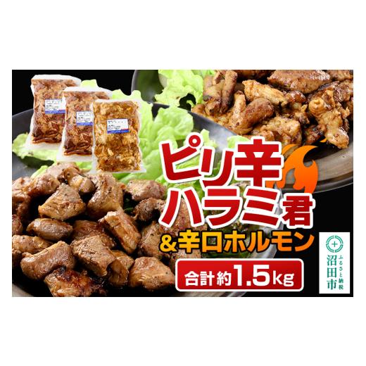 ふるさと納税 肉 群馬県 沼田市 群馬県産 ピリ辛ハラミ君&もち豚辛口ホルモンセット 約1.5kg(500g×2/500g×1)豚肉 沼田市 特産品 肉の長門 モチ もち ブ…