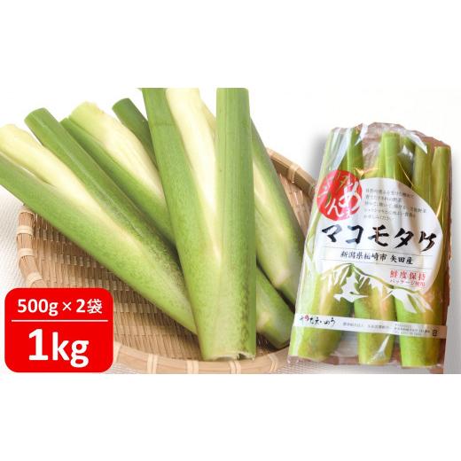 ふるさと納税 野菜類 新潟県 柏崎市 先行予約・数量限定 ヤタらうんめぇ マコモタケ 1kg | マコモダケ 希少野菜 柏崎地場特産品 水田環境鑑定士在籍